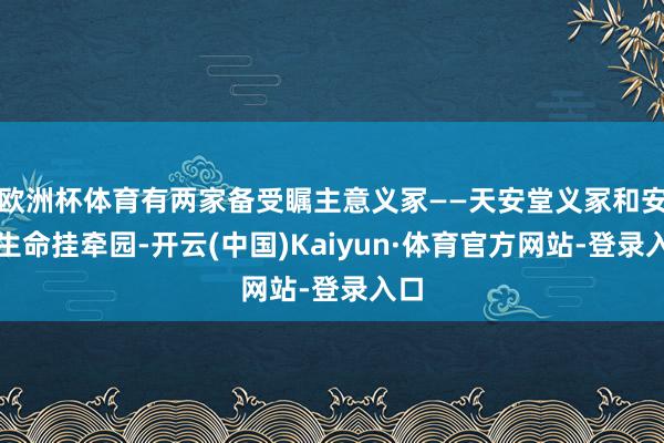 欧洲杯体育有两家备受瞩主意义冢——天安堂义冢和安德生命挂牵园-开云(中国)Kaiyun·体育官方网站-登录入口