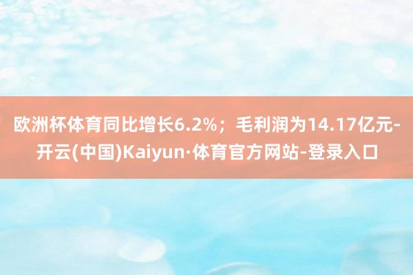 欧洲杯体育同比增长6.2%;毛利润为14.17亿元-开云(中国)Kaiyun·体育官方网站-登录入口