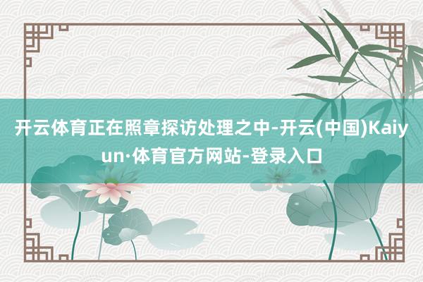 开云体育正在照章探访处理之中-开云(中国)Kaiyun·体育官方网站-登录入口