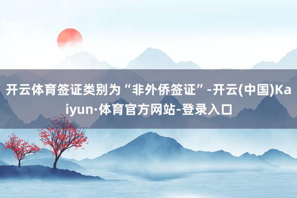 开云体育签证类别为“非外侨签证”-开云(中国)Kaiyun·体育官方网站-登录入口
