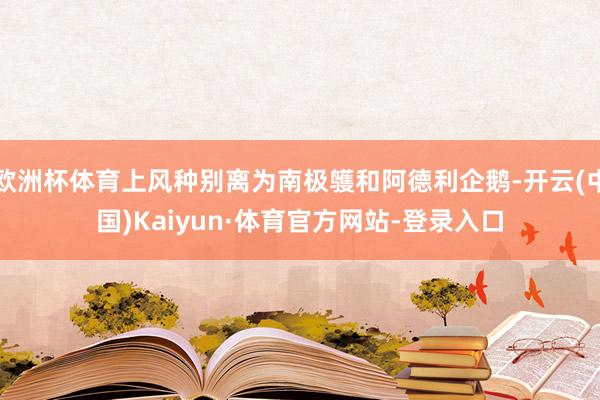 欧洲杯体育上风种别离为南极鹱和阿德利企鹅-开云(中国)Kaiyun·体育官方网站-登录入口