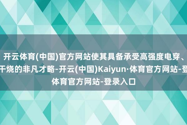 开云体育(中国)官方网站使其具备承受高强度电穿、高温、干烧的非凡才略-开云(中国)Kaiyun·体育官方网站-登录入口