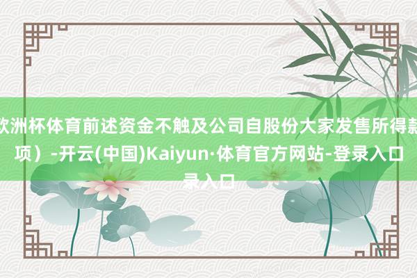 欧洲杯体育前述资金不触及公司自股份大家发售所得款项)-开云(中国)Kaiyun·体育官方网站-登录入口